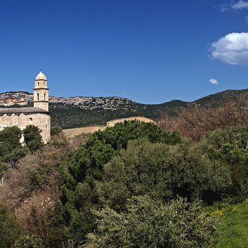Église Saint-Martin de Patrimonio
