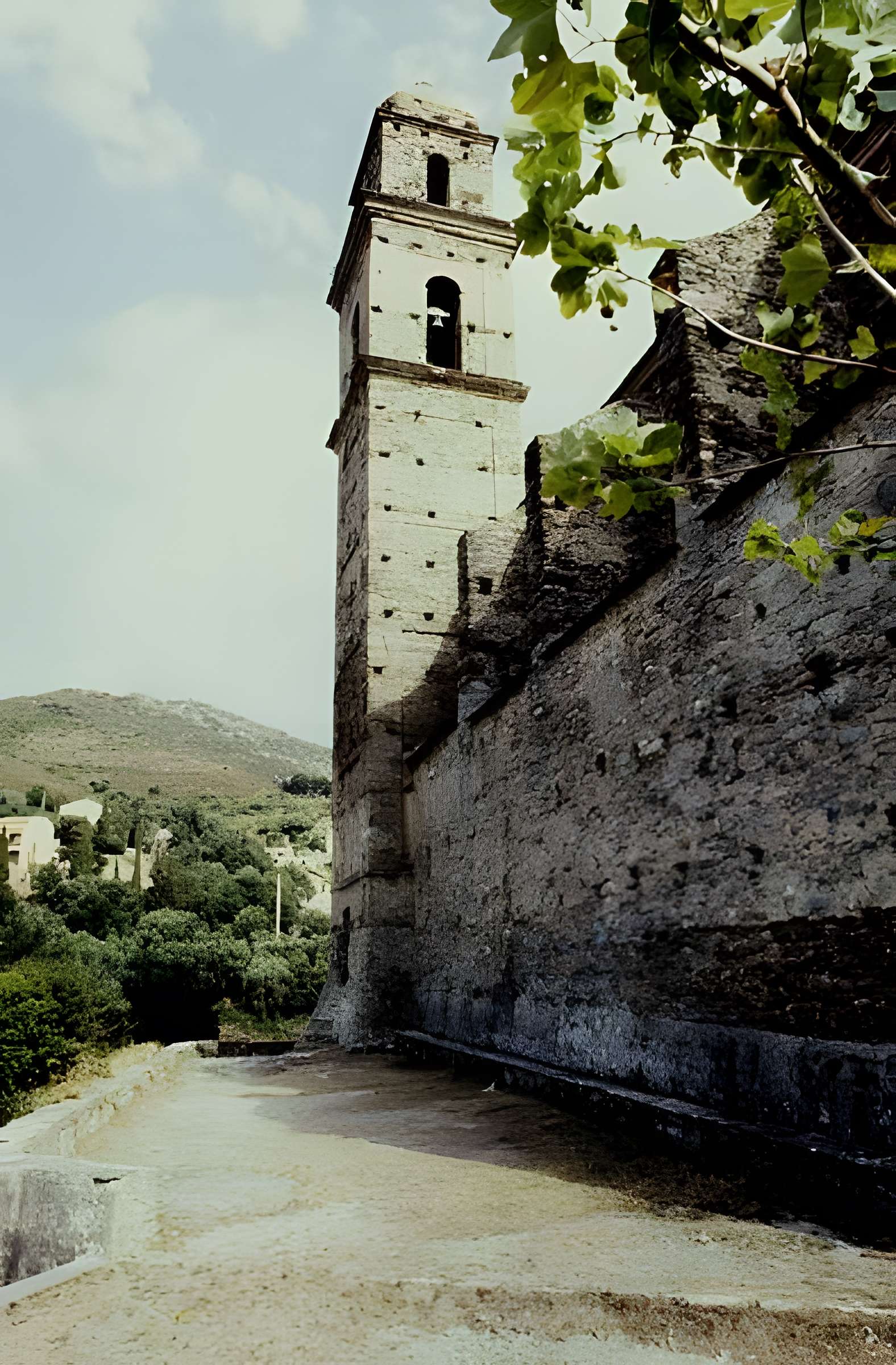 Église Saint-Martin de Patrimonio