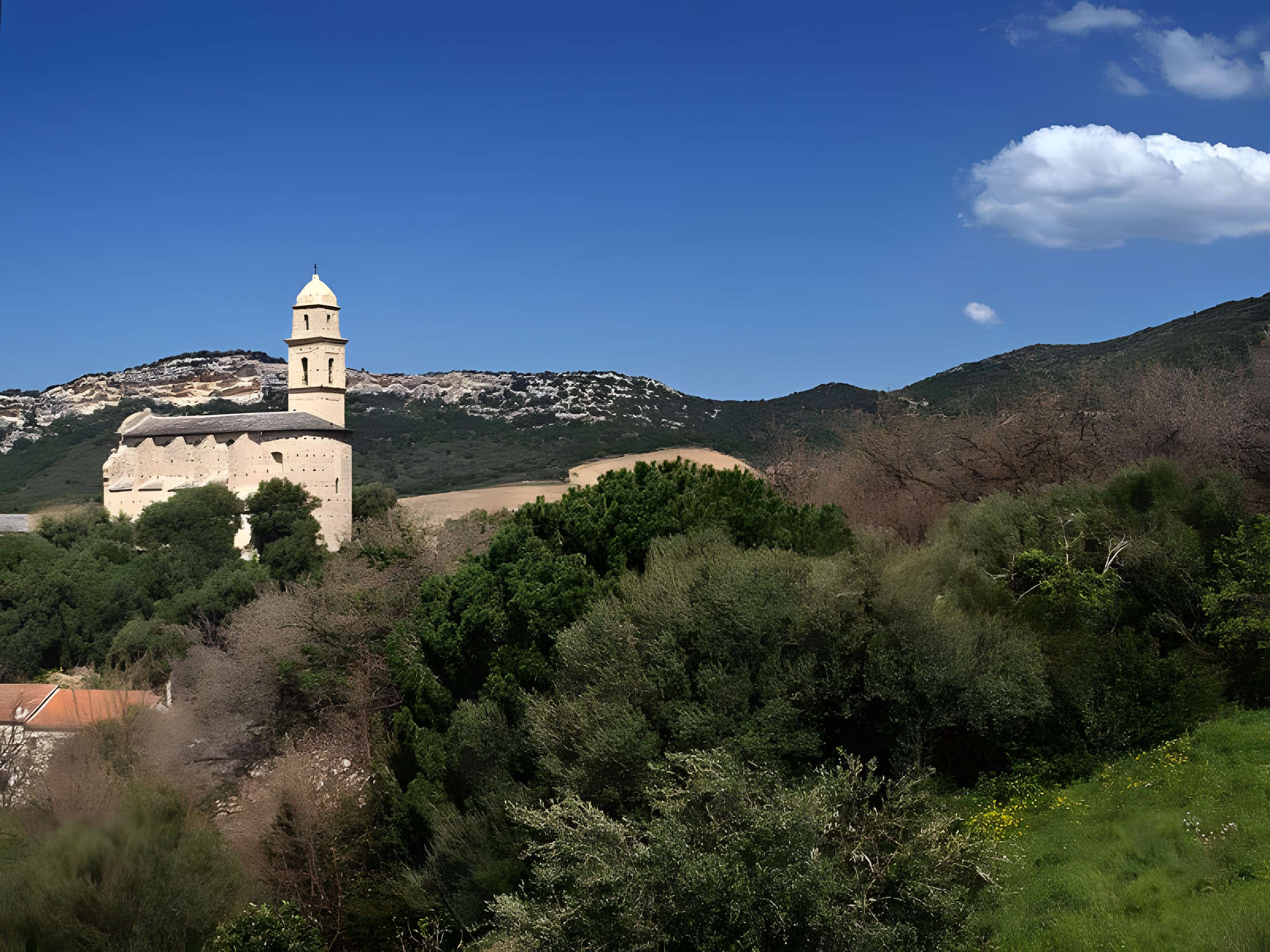 Église Saint-Martin de Patrimonio