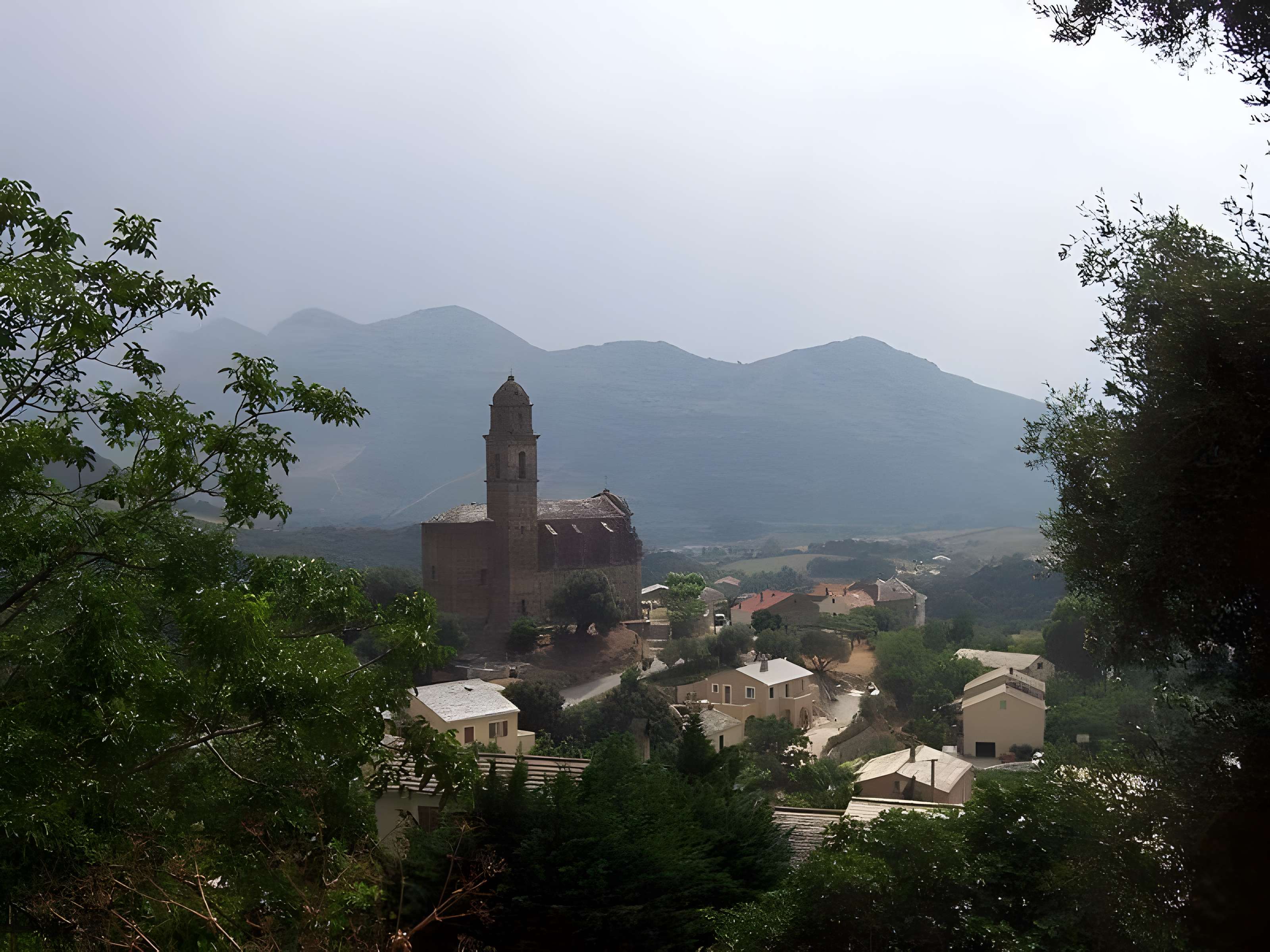Église Saint-Martin de Patrimonio