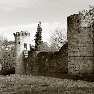 Enceinte de Poitiers
