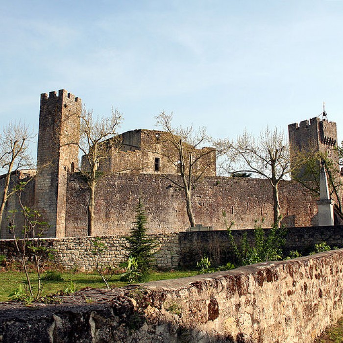 Photo de Enceinte fortifiée de Larressingle