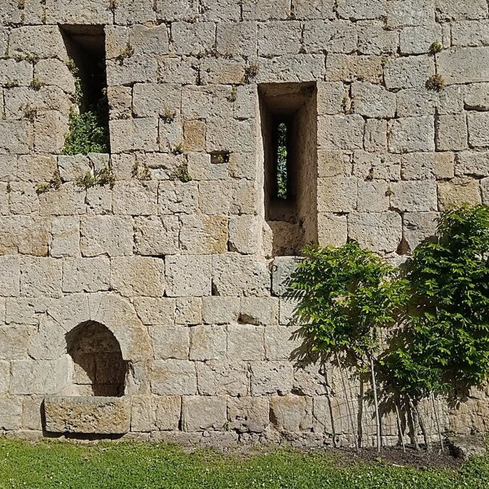 Photo de Enceinte fortifiée de Larressingle