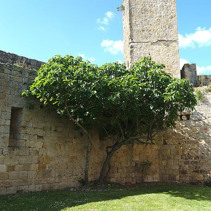 Photo de Enceinte fortifiée de Larressingle