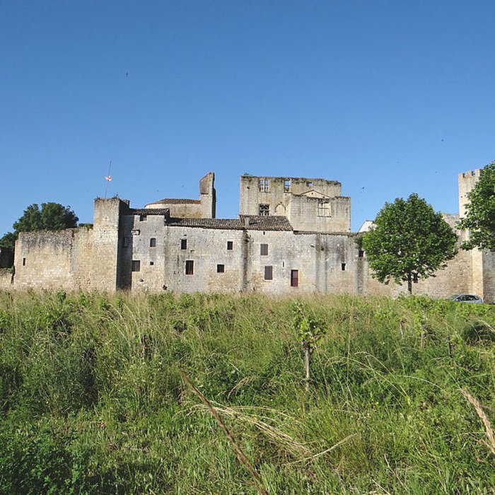 Photo de Enceinte fortifiée de Larressingle