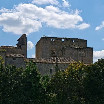 Enceinte fortifiée de Larressingle