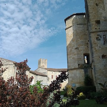Enceinte fortifiée de Larressingle