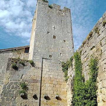 Enceinte fortifiée de Larressingle