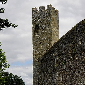 Enceinte fortifiée de Larressingle
