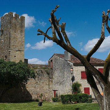 Enceinte fortifiée de Larressingle