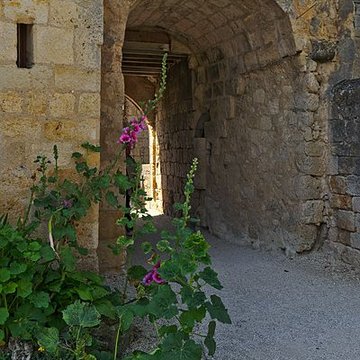 Enceinte fortifiée de Larressingle