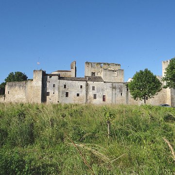 Enceinte fortifiée de Larressingle