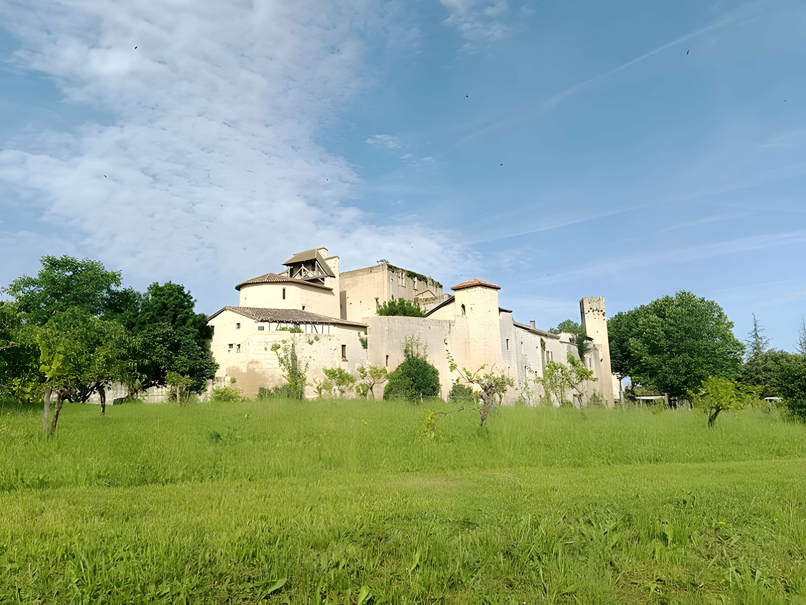 Enceinte fortifiée de Larressingle