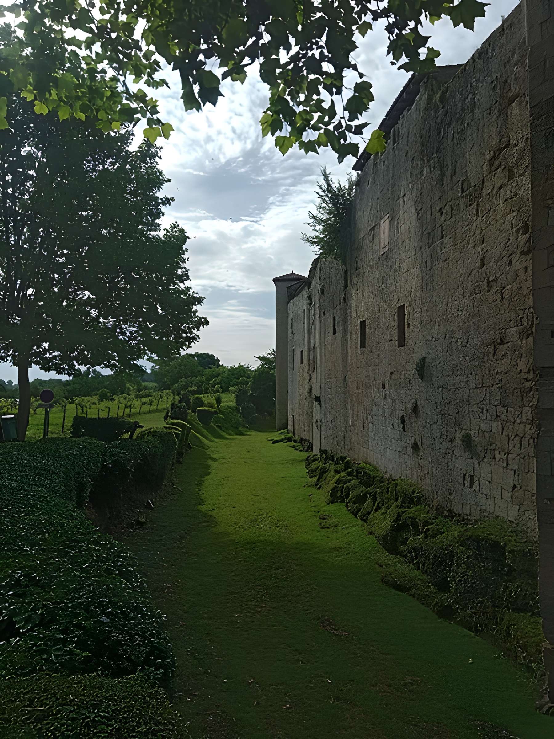Enceinte fortifiée de Larressingle