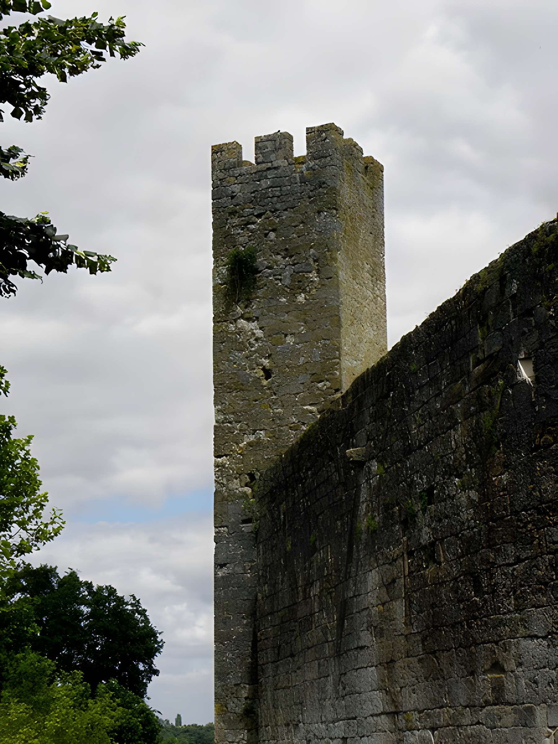 Enceinte fortifiée de Larressingle