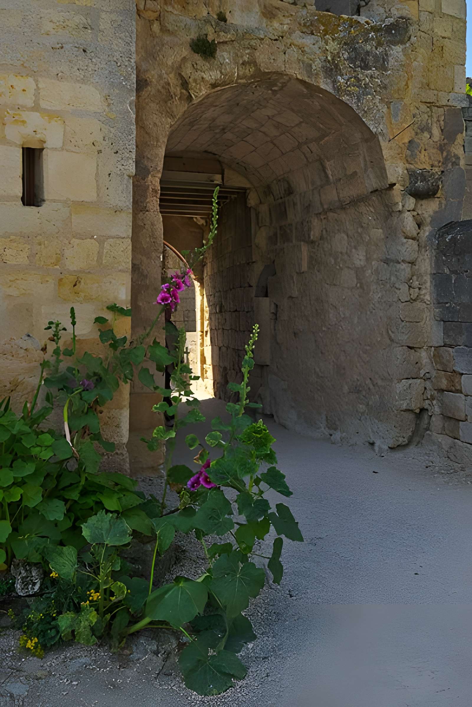 Enceinte fortifiée de Larressingle