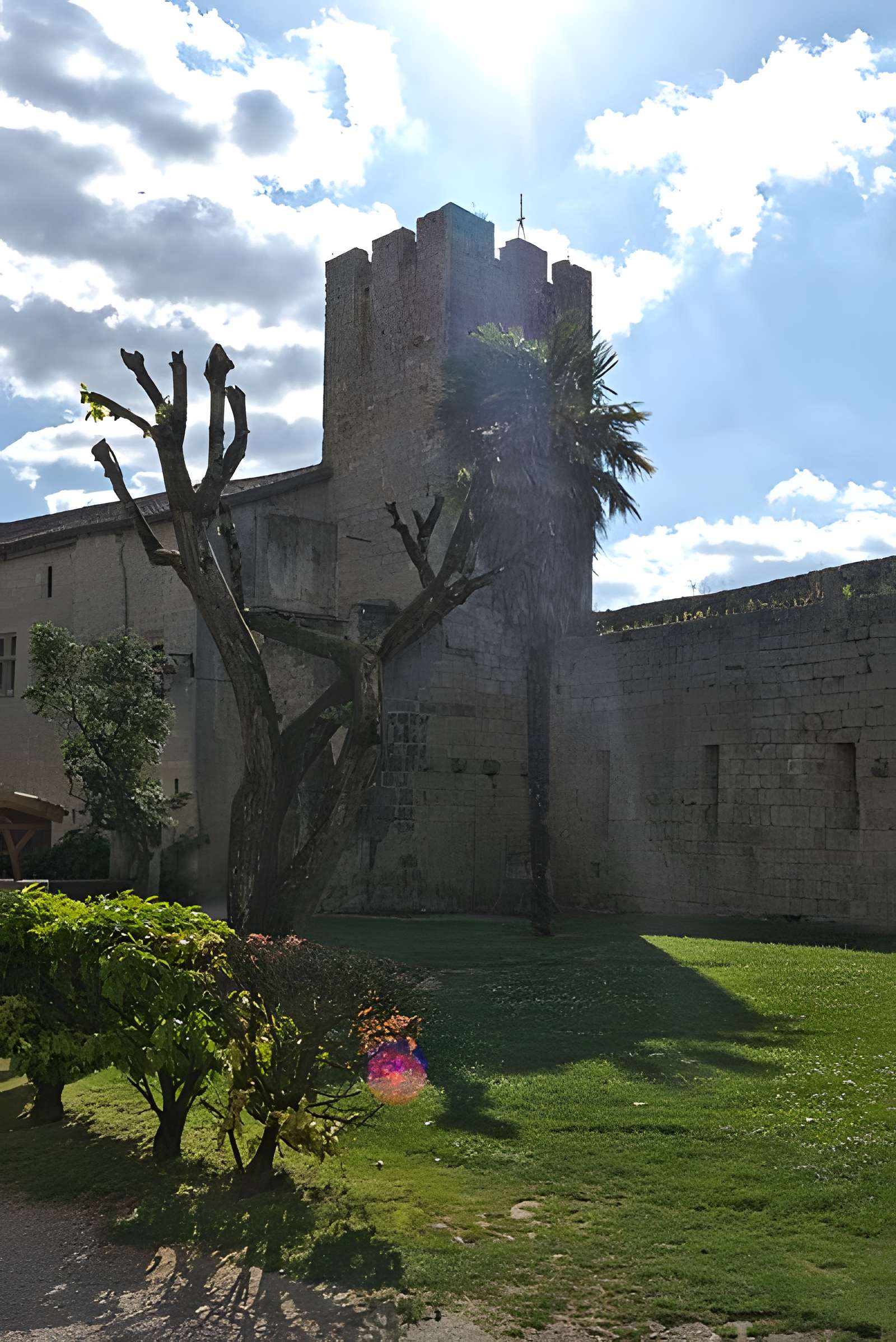 Enceinte fortifiée de Larressingle