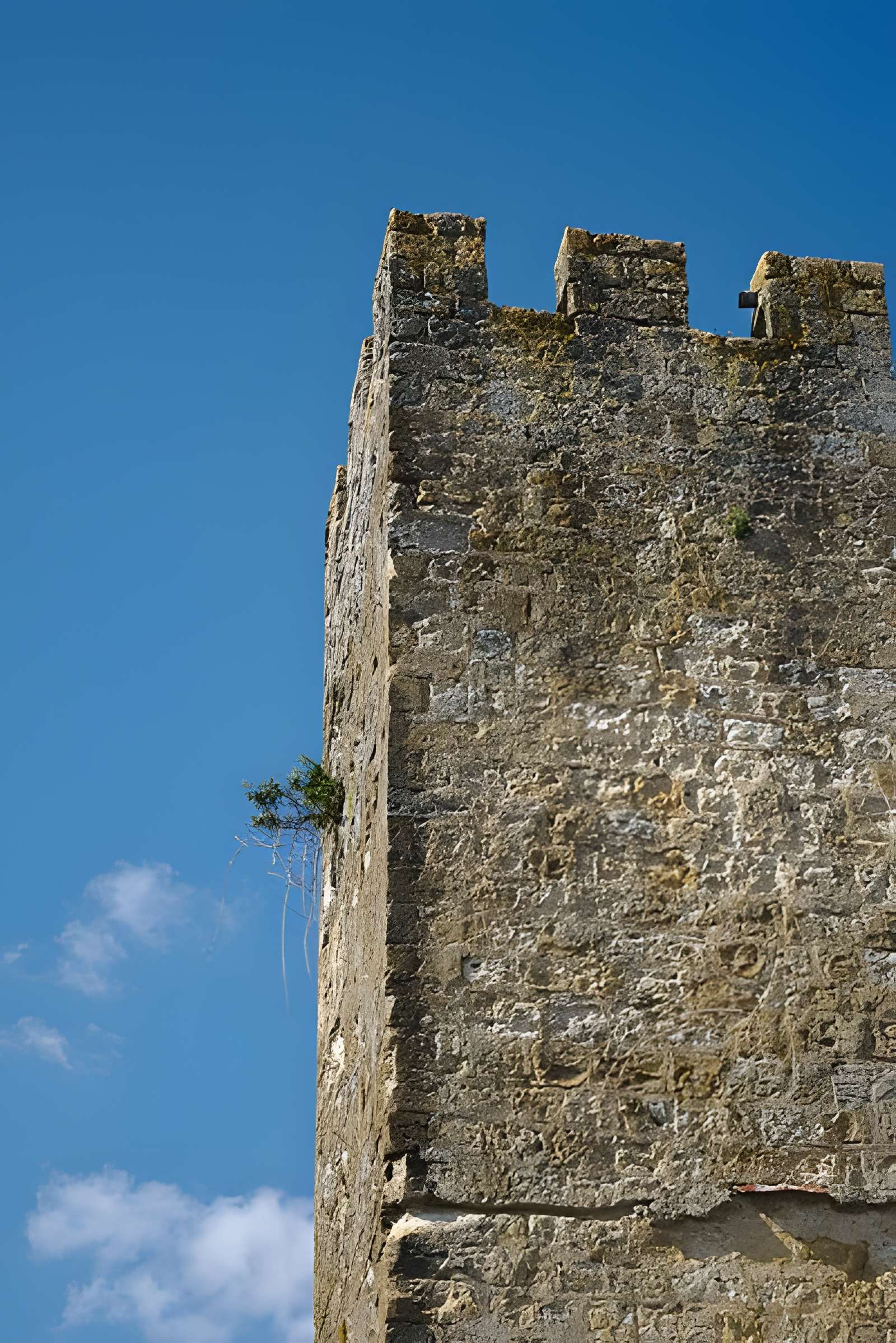 Enceinte fortifiée de Larressingle