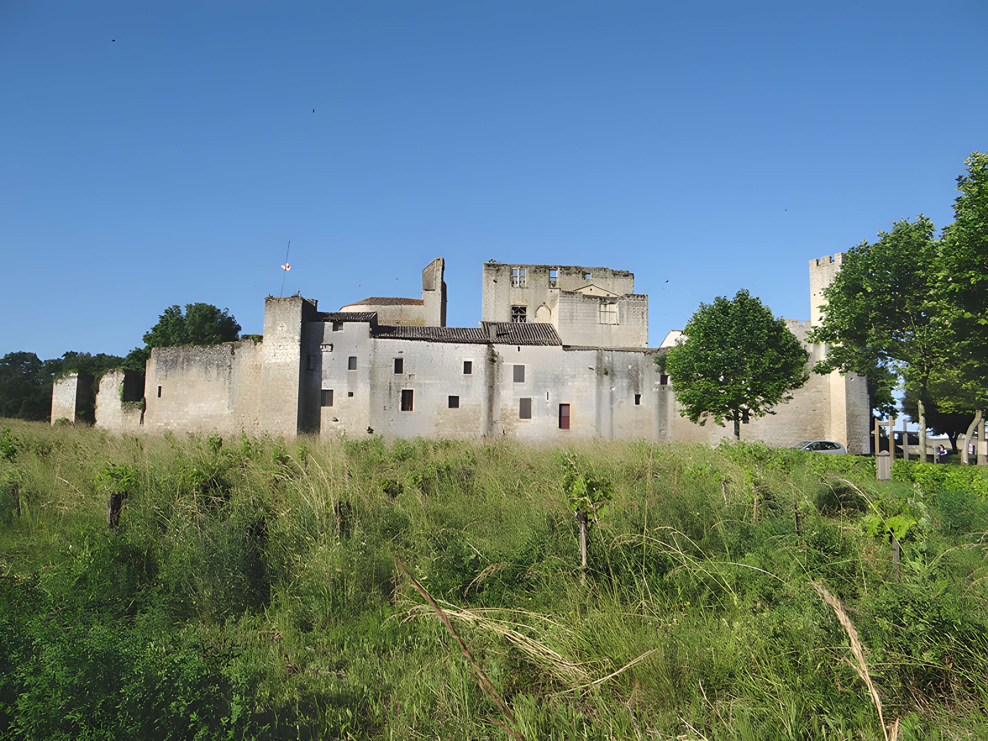 Enceinte fortifiée de Larressingle