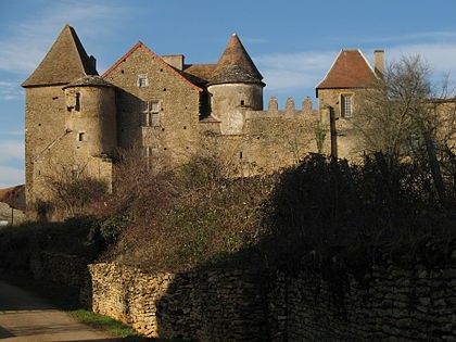 Photo de Château Pontus de Tyard