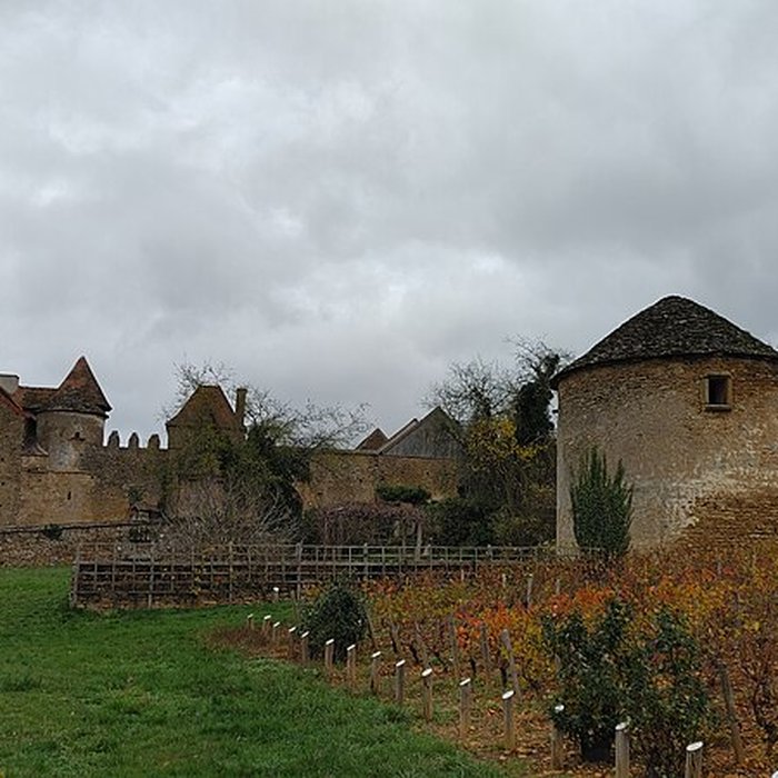 Photo de Château Pontus de Tyard