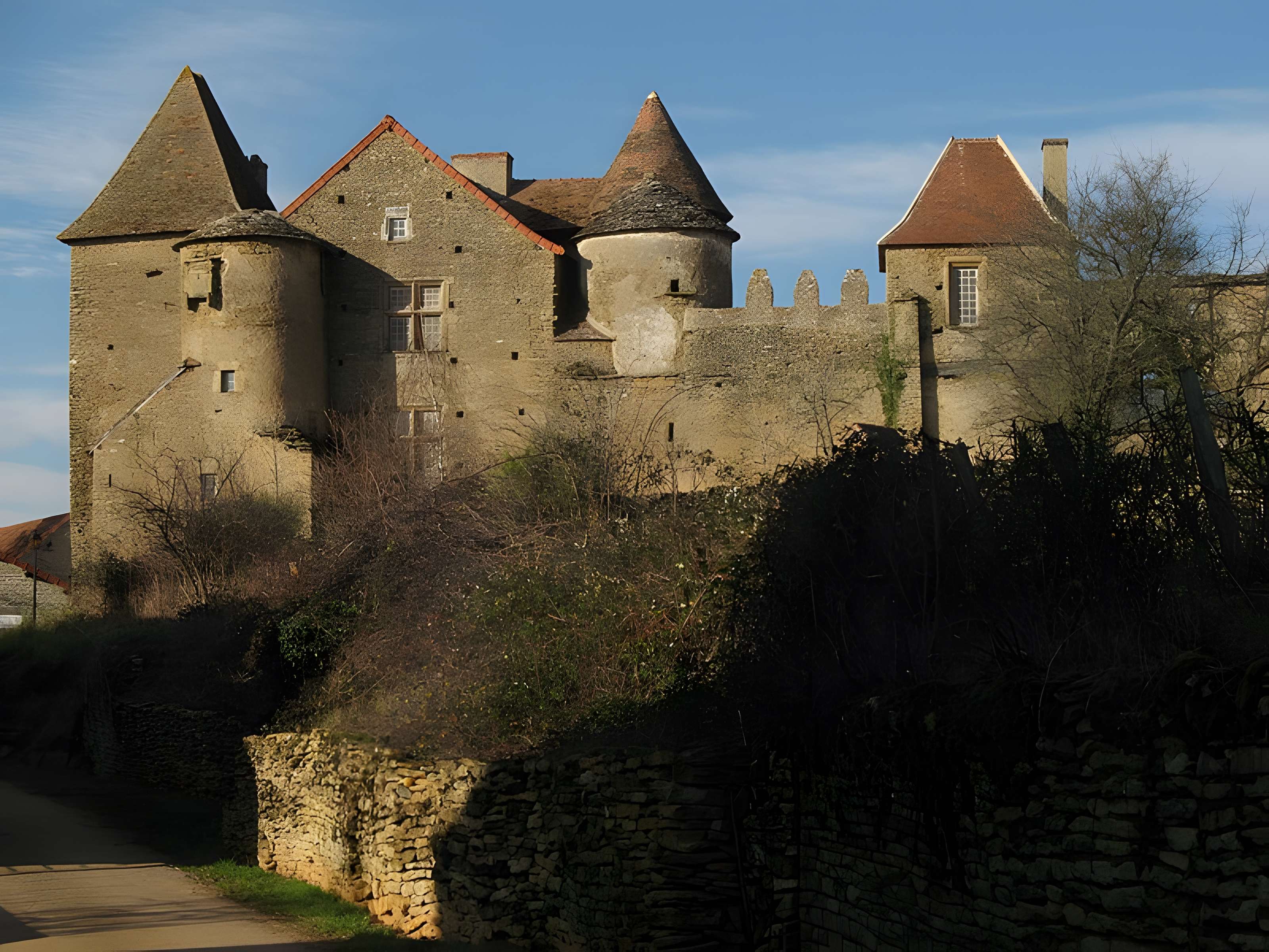 Château Pontus de Tyard