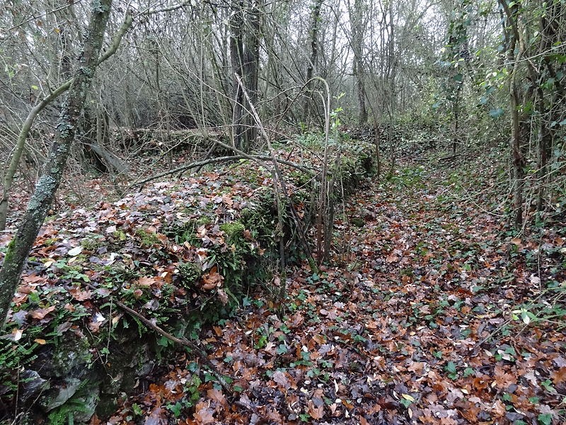 Photo de Fanum de Cracouville au Vieil-Évreux