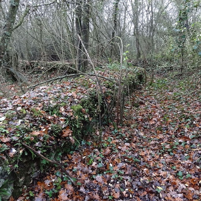 Photo de Fanum de Cracouville : vestiges gallo-romains