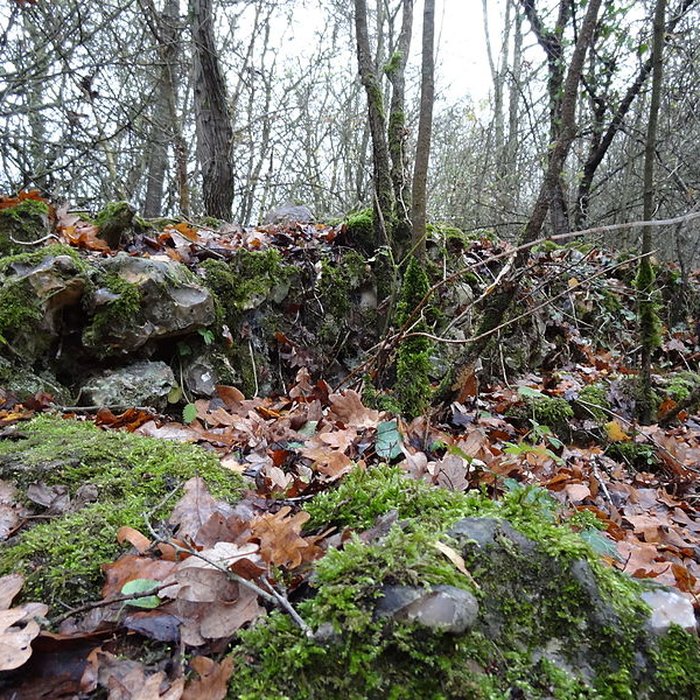 Photo de Fanum de Cracouville : vestiges gallo-romains