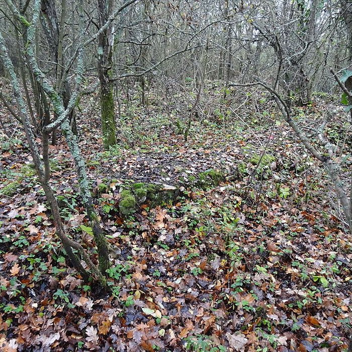 Photo de Fanum de Cracouville : vestiges gallo-romains