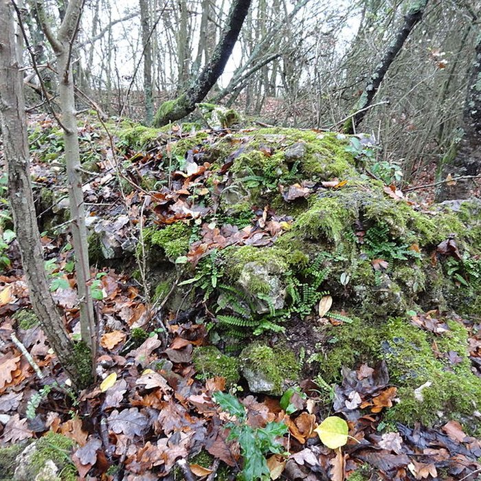 Photo de Fanum de Cracouville : vestiges gallo-romains