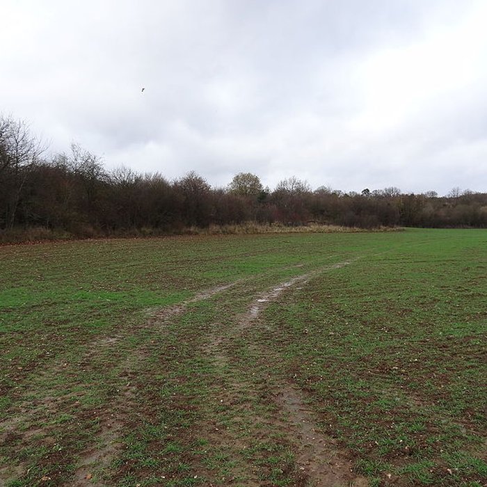 Photo de Fanum de Cracouville : vestiges gallo-romains