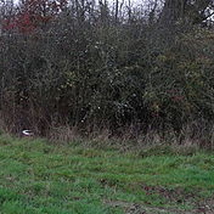 Photo de Fanum de Cracouville : vestiges gallo-romains