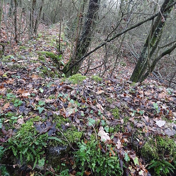 Photo de Fanum de Cracouville : vestiges gallo-romains