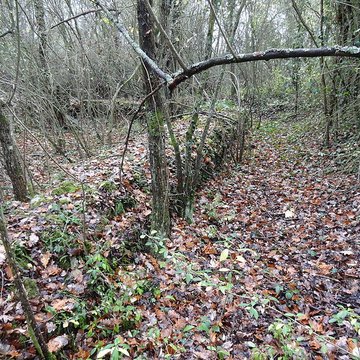 Fanum de Cracouville : vestiges gallo-romains