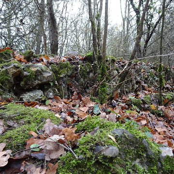 Fanum de Cracouville : vestiges gallo-romains