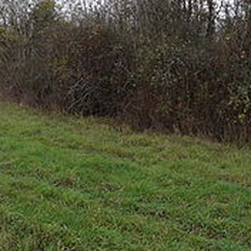 Fanum de Cracouville : vestiges gallo-romains