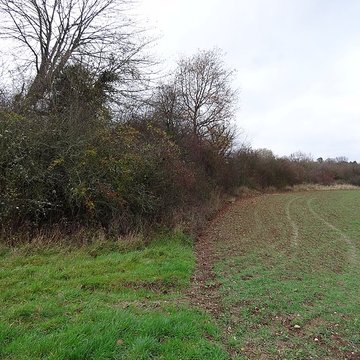 Fanum de Cracouville : vestiges gallo-romains