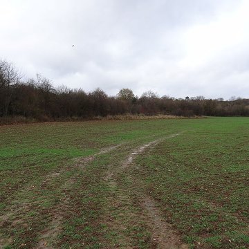 Fanum de Cracouville : vestiges gallo-romains