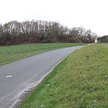 Fanum de Cracouville : vestiges gallo-romains