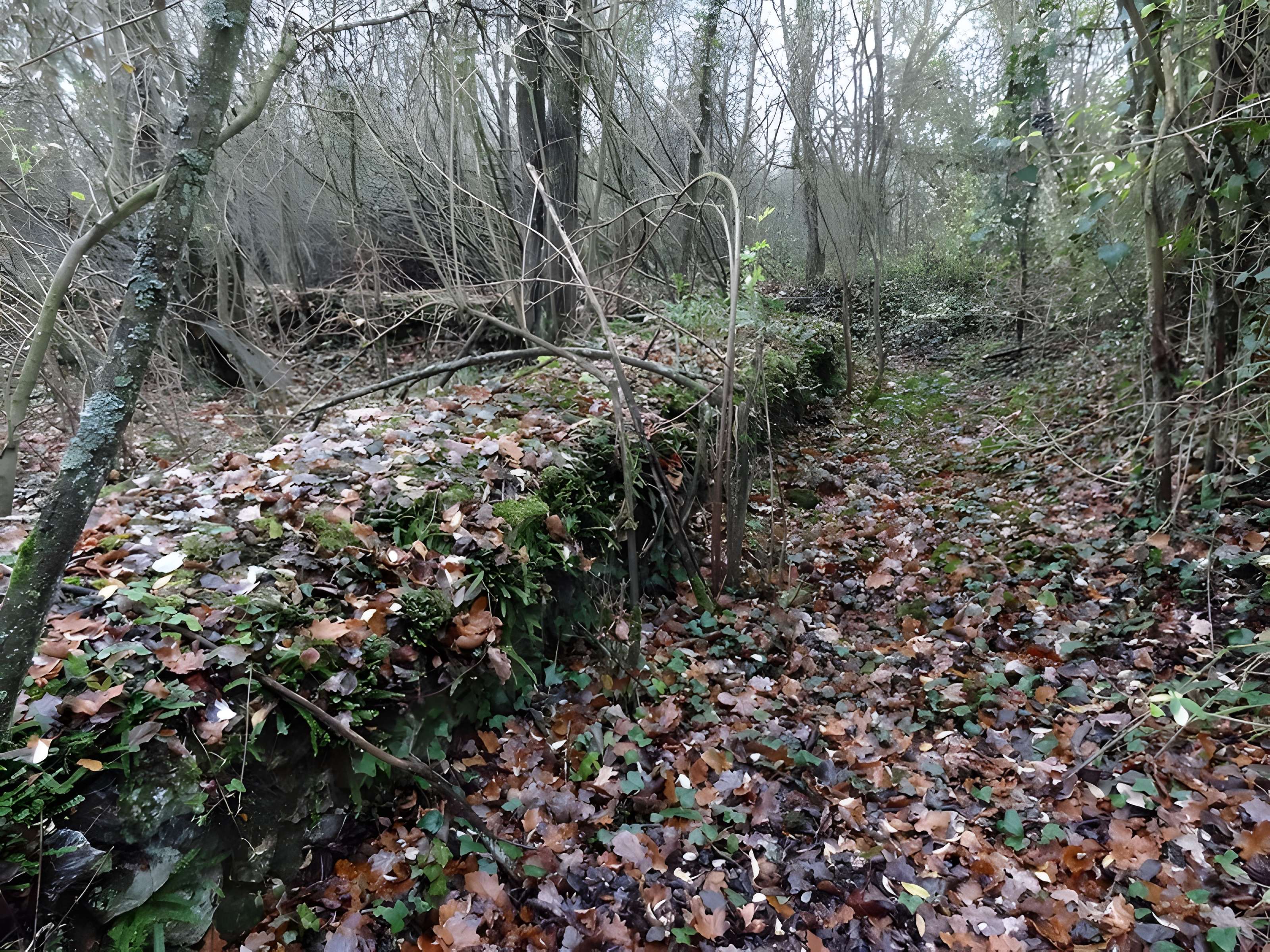 Fanum de Cracouville au Vieil-Évreux 