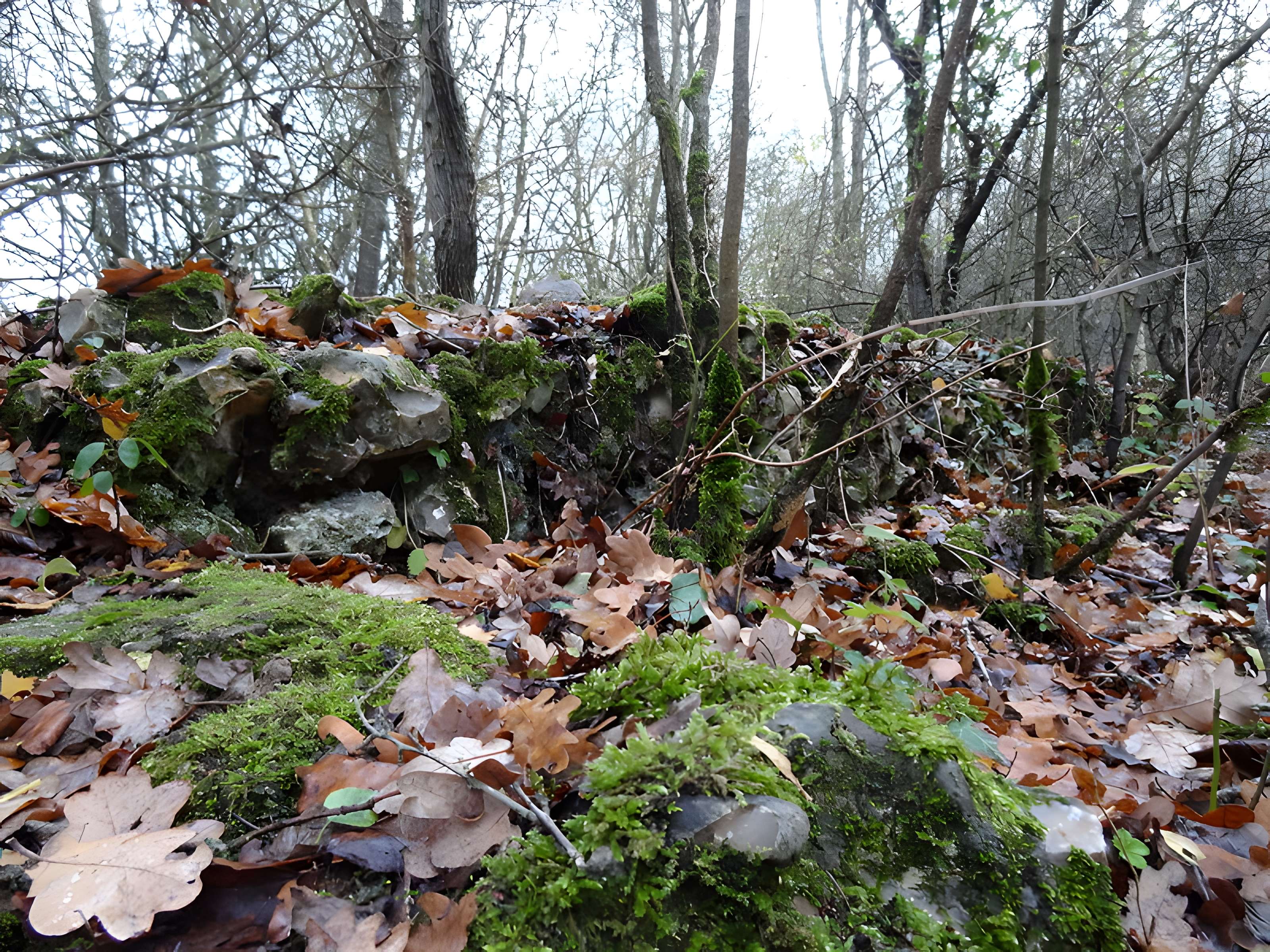 Fanum de Cracouville : vestiges gallo-romains