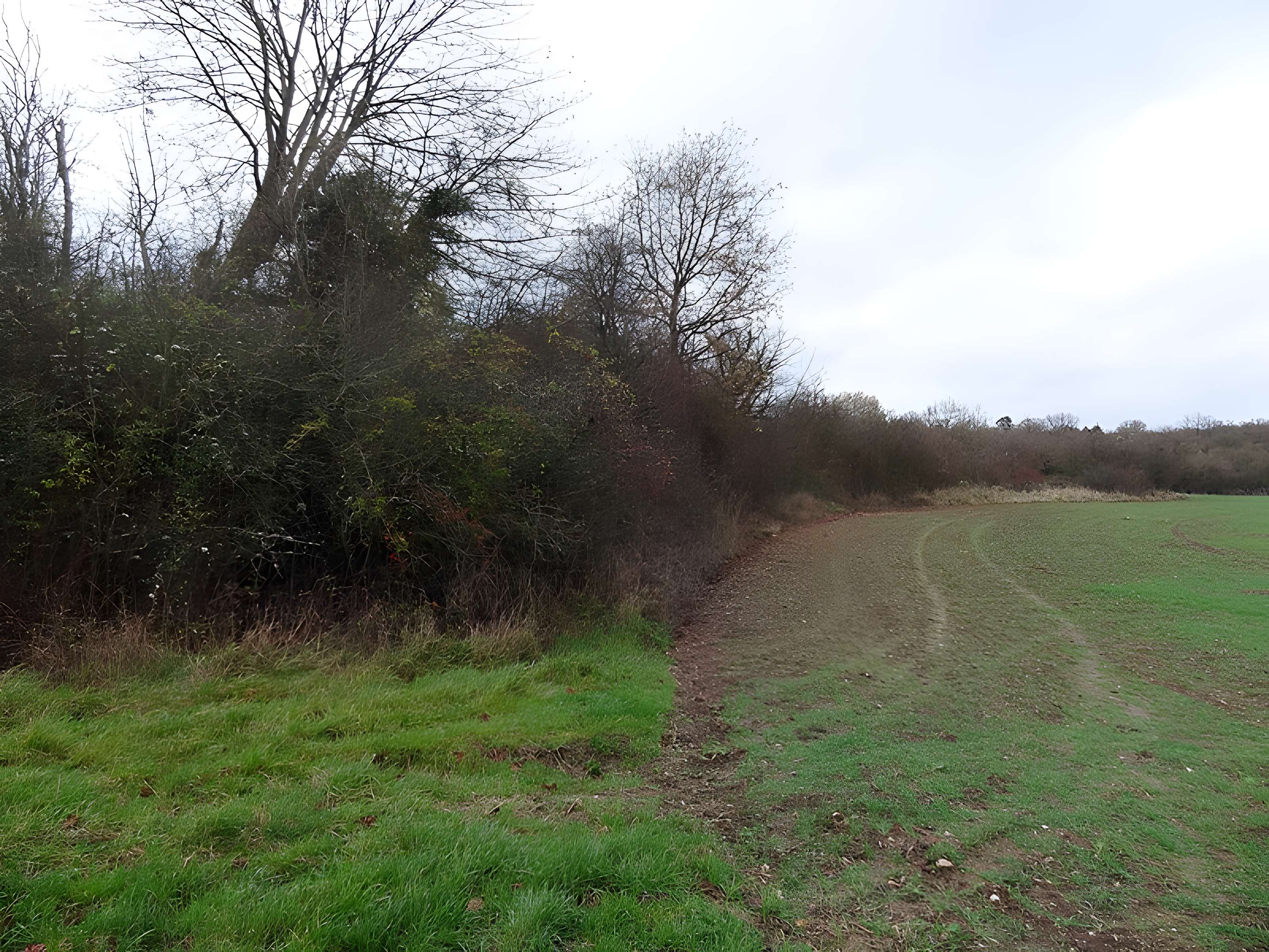 Fanum de Cracouville : vestiges gallo-romains