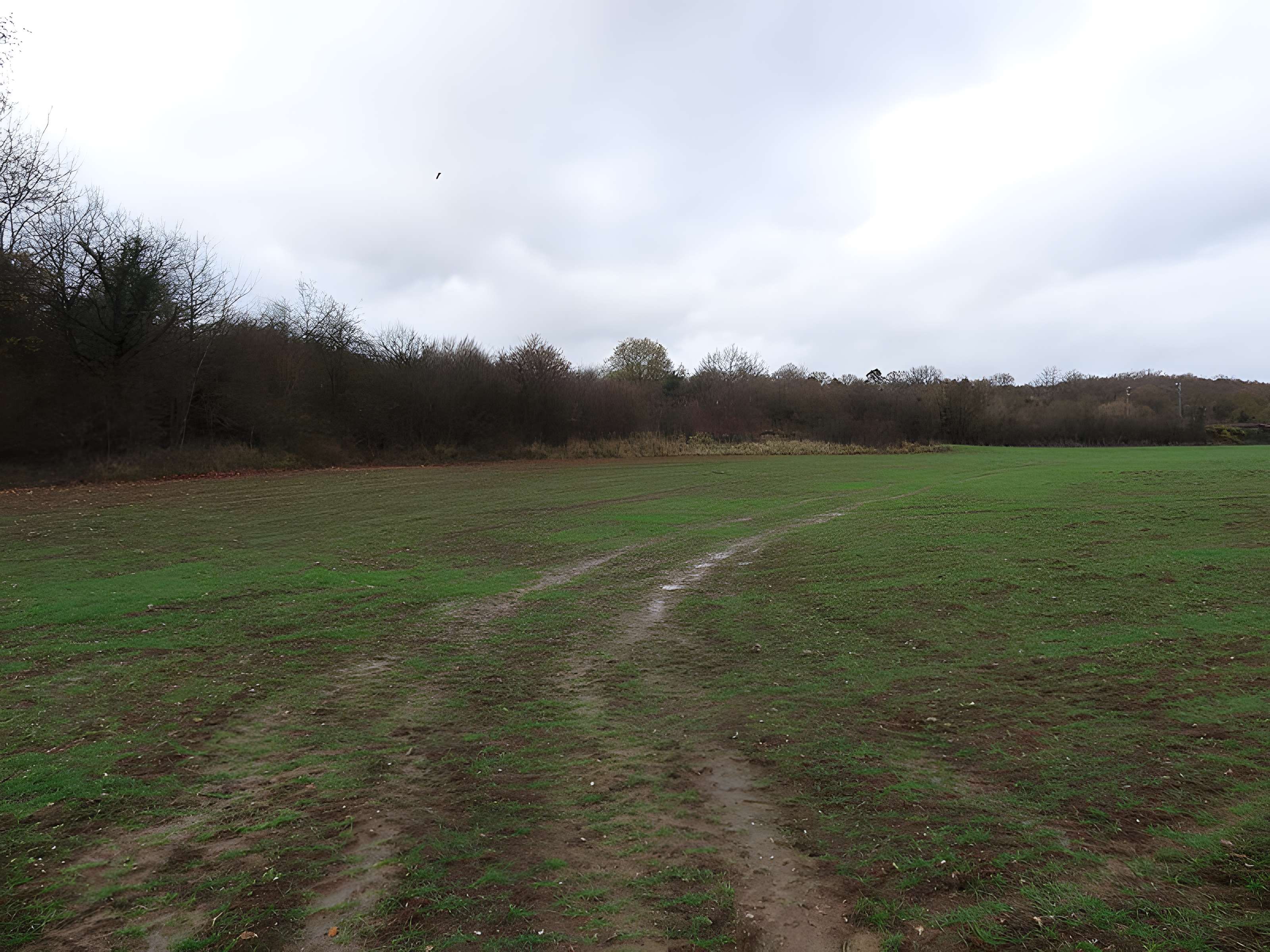 Fanum de Cracouville : vestiges gallo-romains