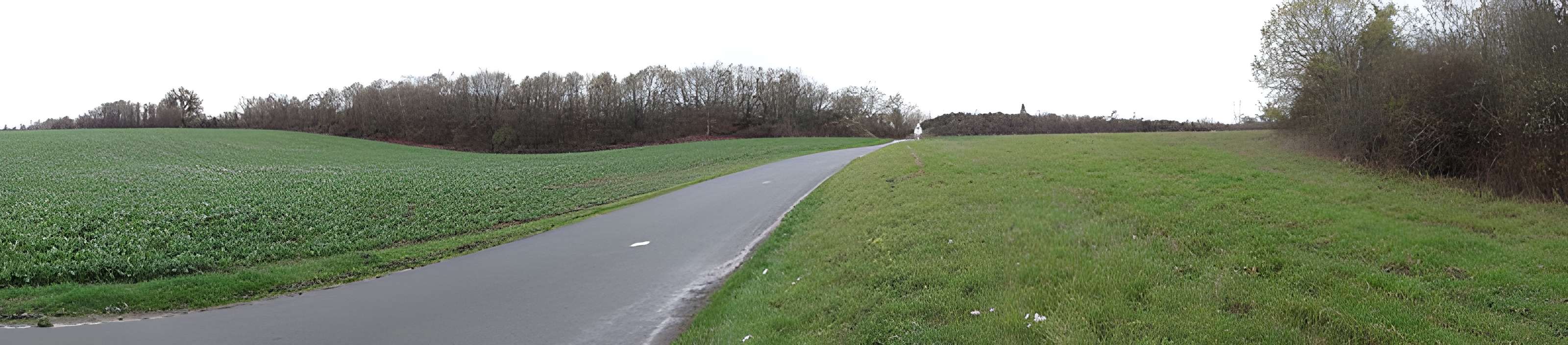 Fanum de Cracouville : vestiges gallo-romains