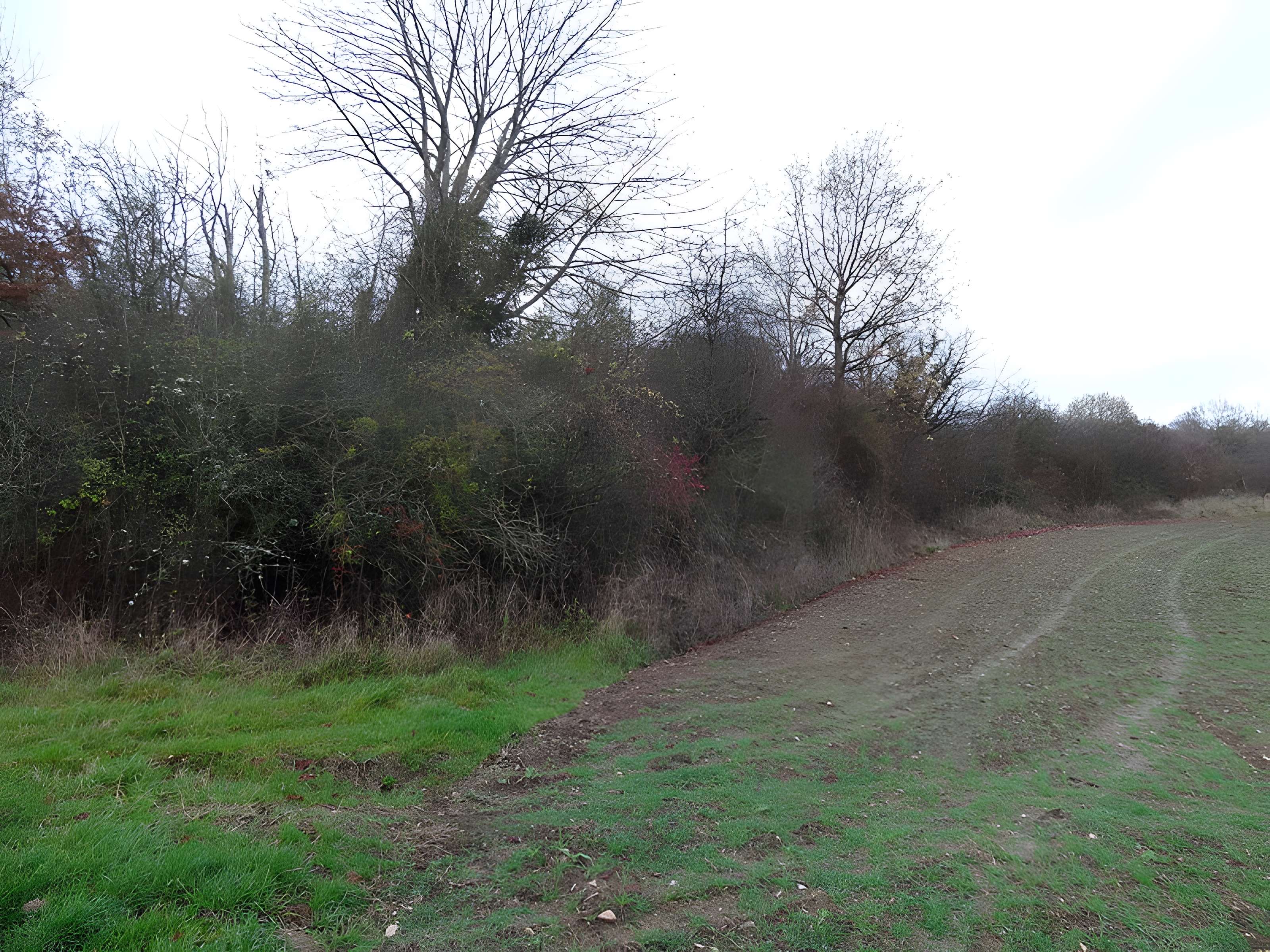 Fanum de Cracouville : vestiges gallo-romains