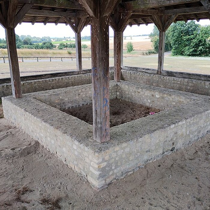 Photo de Fanum gallo-romain vestiges