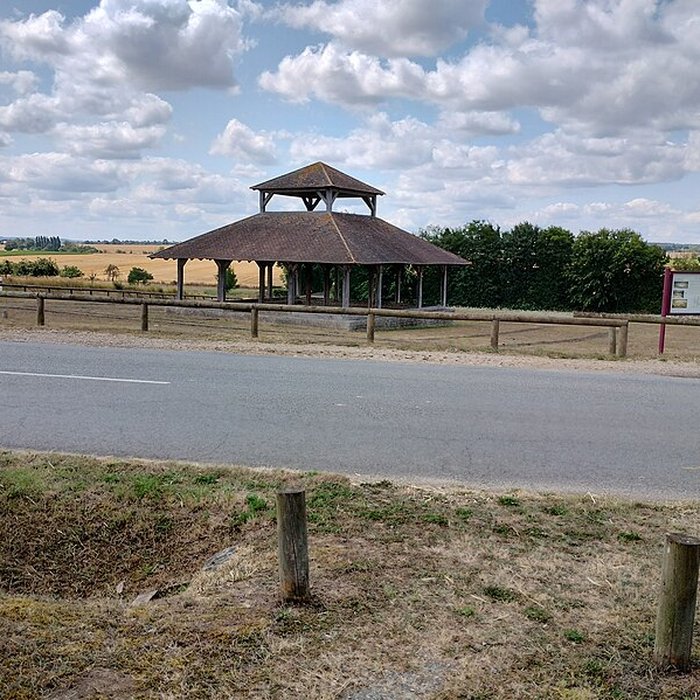 Photo de Fanum gallo-romain vestiges