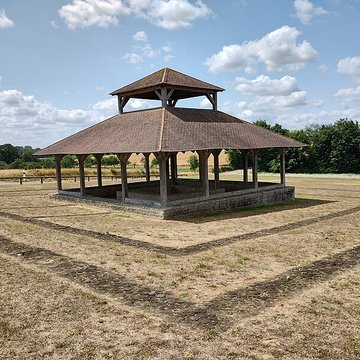 Fanum gallo-romain vestiges