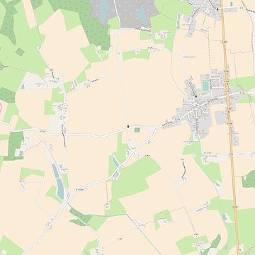 Fanum gallo-romain vestiges